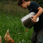 Harmony at the Farm: A Green Path for Bird Welfare and Profits