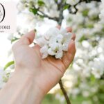 Therapy For Coping Skills California: Build Resilience