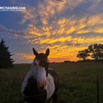 Meet a Tornado Storm Chaser: Guided, Safe, Thrilling Storm Journeys