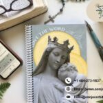 Learn the Seven Principles of Catholic Social Justice