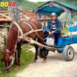 Best Moldova City Tours: Explore Historic Towns and Hidden Gems