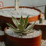 Custom Steel Fabrication: Tailored Solutions for Your Project