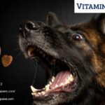 Skin Support Supplement For Pets | Vitaminpaws.com