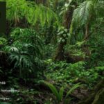 Eggshell Membrane Collagen | Herbaniq.eu