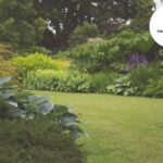 Garden Clearance Services in Bristol | Tidy Gardeners Bristol