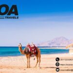 Egypt Tour Packages | Toatravels.com