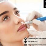 Microblading Shading Eyebrows Mississauga | Shadia Jaouhari & Co