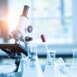 Buy 2 FMA Powder — Safe, Reliable Research Chemical Supply