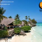 African Safari for Families: Safe, Memorable Wildlife Adventures