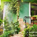 Backyard Decking Service North Shore | Gardenvisions.co.nz