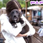 Find Puppy Play Dates Near Me: Find Local Playmates