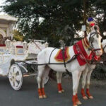 A Dreamy Baraat Experience for Your Big Day