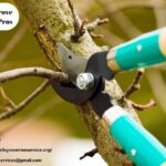 A Tale of a Stalwart Arboretum in a Quiet Suburb