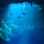 Cenote Diving in Mexico: Crystal Caves, Clear Waters & Underwater Wonders