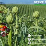 Agriculture Tax Accountant in Santa Maria Expert Tax Services for Farmers