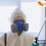 Bed Bug Exterminator Edmonton | Dragonpestcontrol.ca