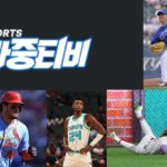 빠중티비 배구 경기중계: 실시간 중계와 하이라이트 완전 정복