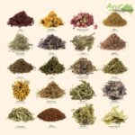 Ayurvedic Massage Sydney: Rejuvenate with Traditional Therapies