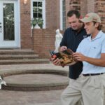 Modern Landscape Design Services Cambridge ON | Diadem Landscape