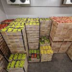 Chickpeas Wholesale Distributors | Reliable Bulk Supply