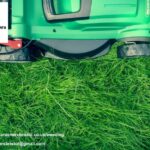 Weeding Services in Bristol | Reliable, Eco-Friendly Lawn Care