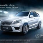 Painting and Renovation Works in Abu Dhabi | Tanumanagement