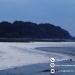 Protect your family with Beaufort SC family law attorney services