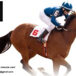 樂博星娛樂城：逼真澳門真人輪盤體驗與即時轉輪魅力