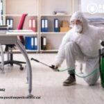 Calgary Rat Exterminator | Positivepestcontrol.ca