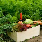 Premium Spices Exporters: Trusted Tanzanian Quality for Global Markets