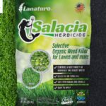 Safe Weed Killer for Grass: Gentle, Natural Yard Care
