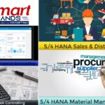 Sap S4 Hana Fi Training | Thesmarthands.com