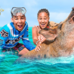 Bahamas Rose Island Tour: Snorkel, Calves & Crystal Waters