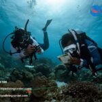 Srilanka Diving Courses | Kalpitiyadivingcenter.com