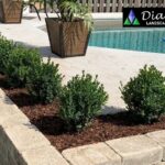 Professional Landscape Designer Cambridge ON – Create Your Dream Outdoor Space