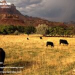 Agriculture Tax Accountant in Santa Maria — Trusted Farming Tax Help