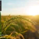 Stockholms psykoterapimottagning – Pris, behandlingar och kontakt