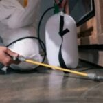 End of Lease Pest Treatment: Safe, Fast & Handover-Ready