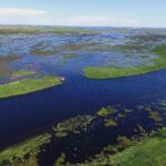 Golden Dorado Fly Fishing in Argentina: An Unforgettable Adventure