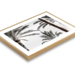 Australian Wall Art: Capturing Australia’s Beauty for Your Home