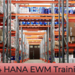 SAP Financials Course: Build Strong Finance Fundamentals