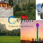 Personalized Travel Agency: Tailored Journeys You’ll Love