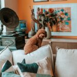 Fold Hill Gravy Bones: Tasty Treats Your Pets Will Love