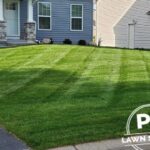 Lawn Fertilization Golden Valley: Healthy, Green Lawns