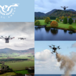 Pet Ashes Scattering: A Gentle, Meaningful Farewell