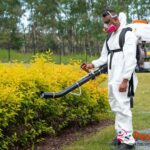 Calgary Termite Treatment: Safe, Effective Pest Solutions