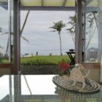 Fiji Real Estate: Discover Tropical Homes and Islands