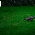 Driveway Cleaning Service in Bristol | Tidy Gardeners Bristol