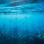 Tooth Extraction Ottawa: Gentle, Trusted Dental Care at Dolphin Dentistry