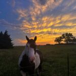 Tornado Chaser Tours: Thrilling Storm Chasing Adventures